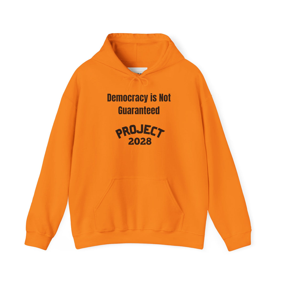 Copy of Project 2028 hoodie | Democracy | Social Awareness