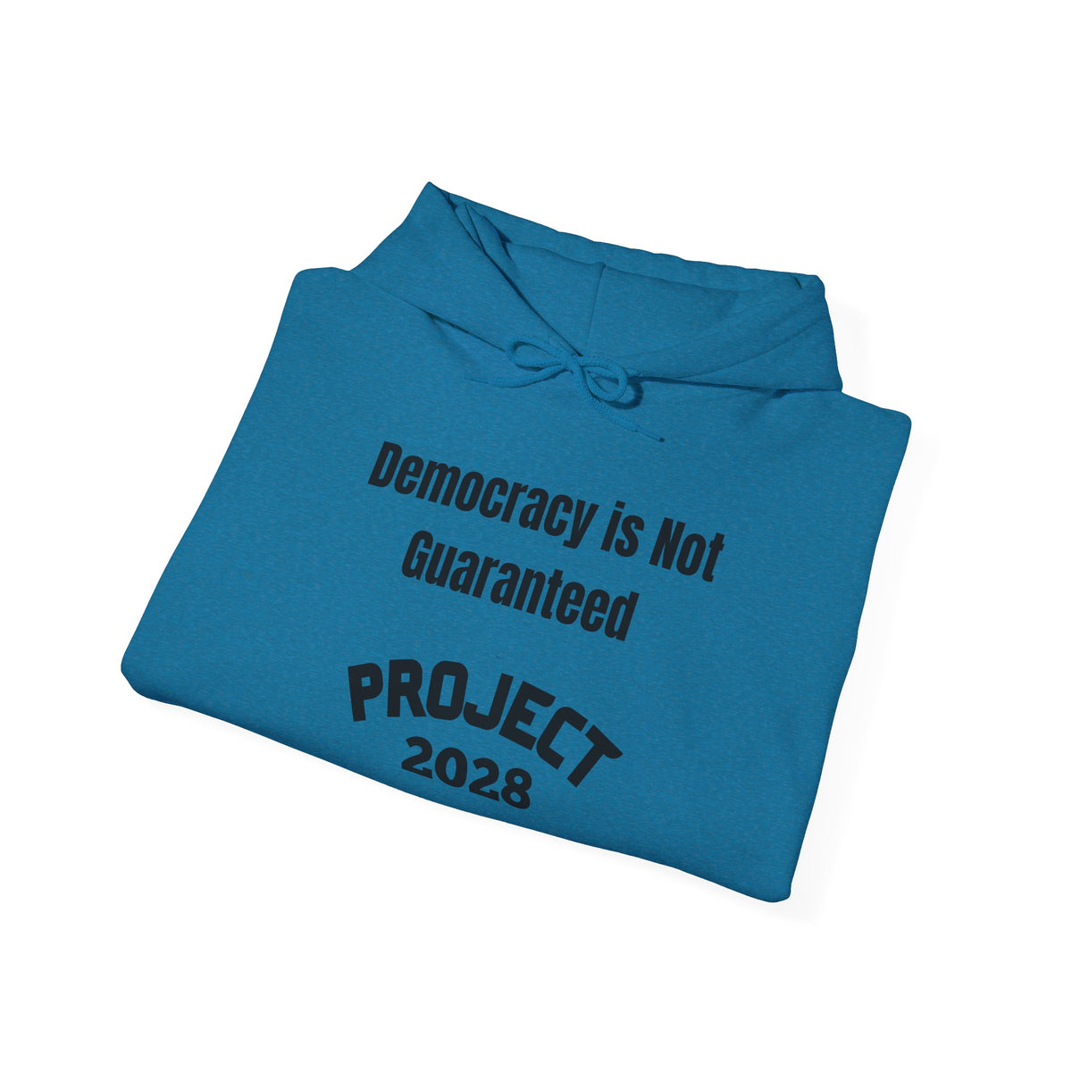 Copy of Project 2028 hoodie | Democracy | Social Awareness