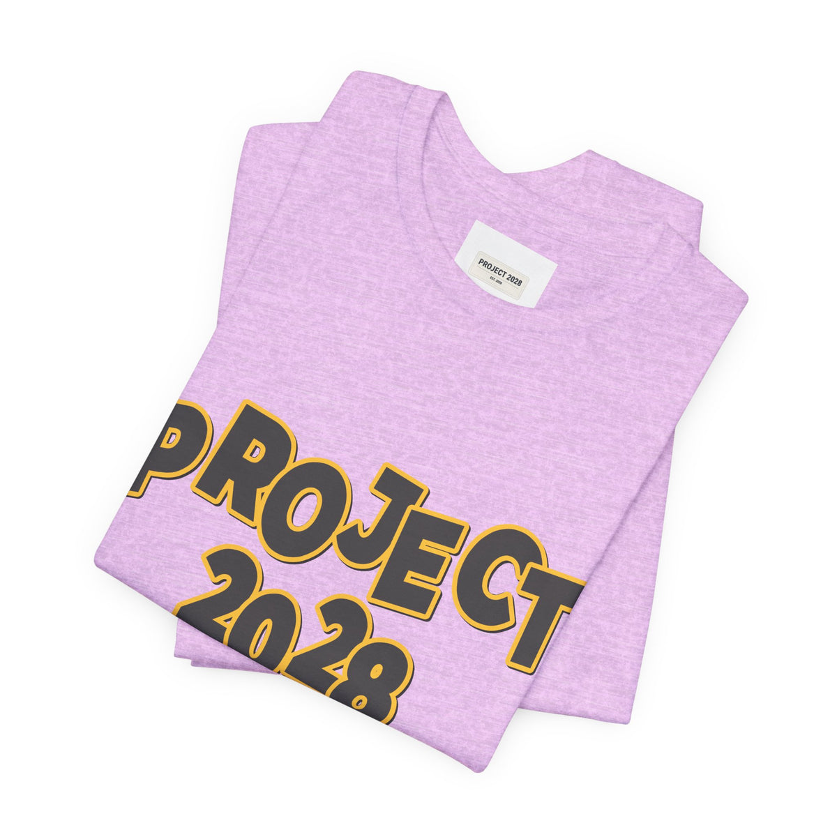 Project 2028 Graphic Tee — "Spirit Airlines Is Gone. Democracy Could Be Next. Vote Blue." Political Statement T-Shirt - Make a Statement Without Saying a Word!