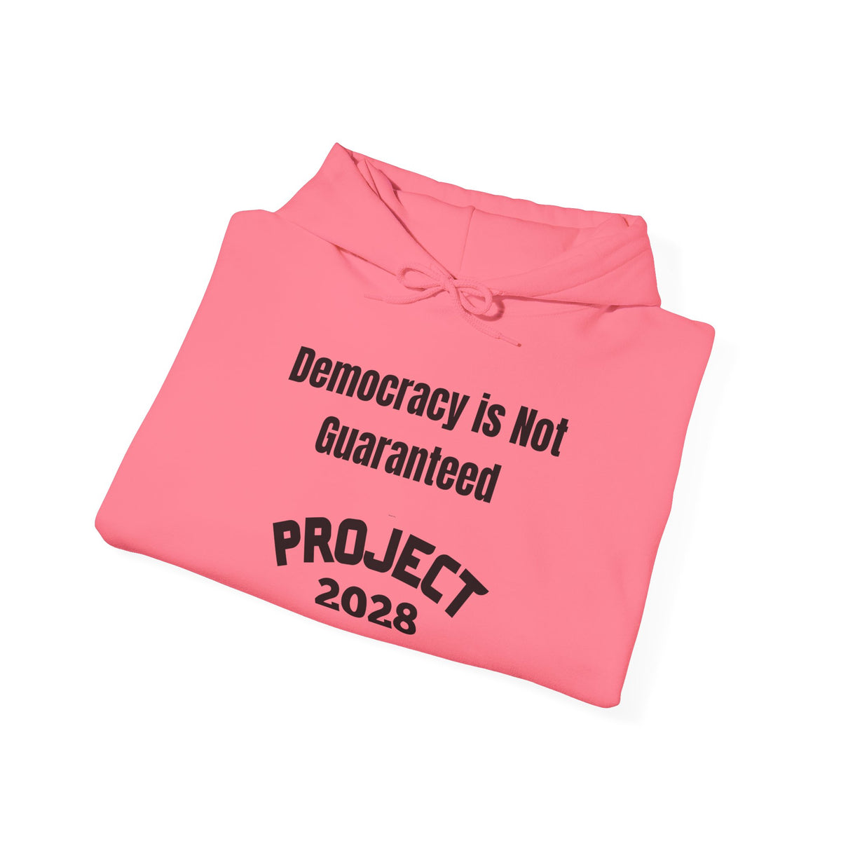 Project 2028 hoodie | Democracy | Social Awareness