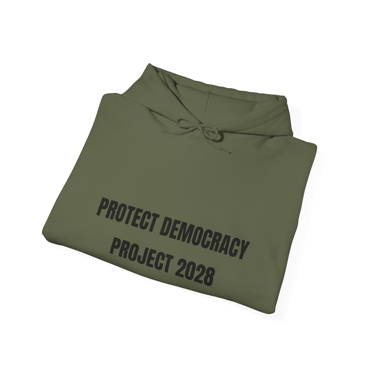 Protect Democracy Project 2028 Hoodie | Social Awareness