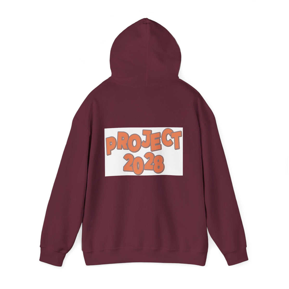 Project 2028 Hoodie | Protect Democracy text design