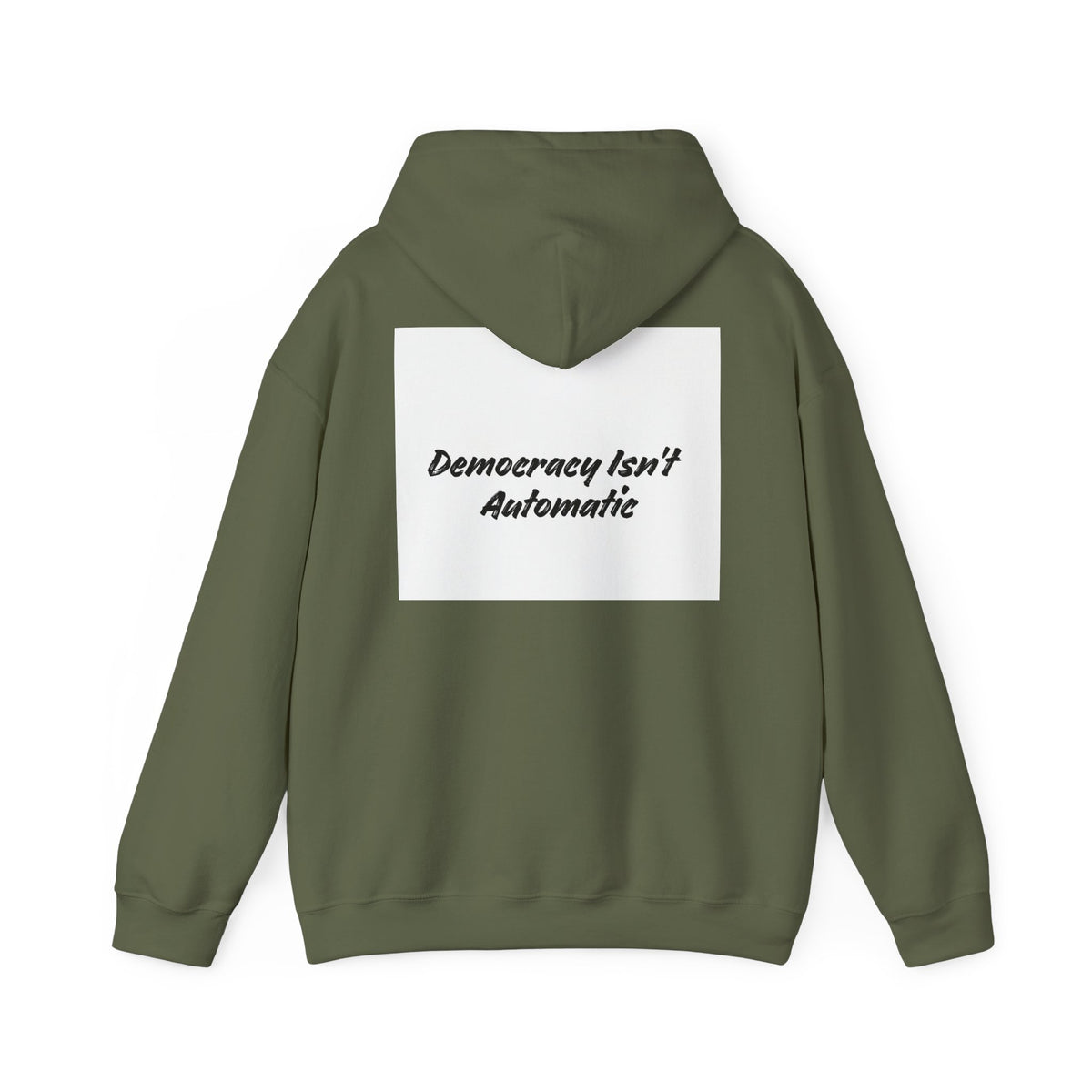 Protect Democracy Project 2028 Hoodie | Social Awareness