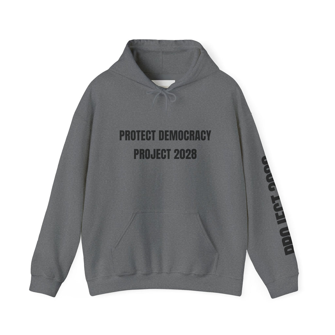 Protect Democracy Project 2028 Hoodie | Social Awareness