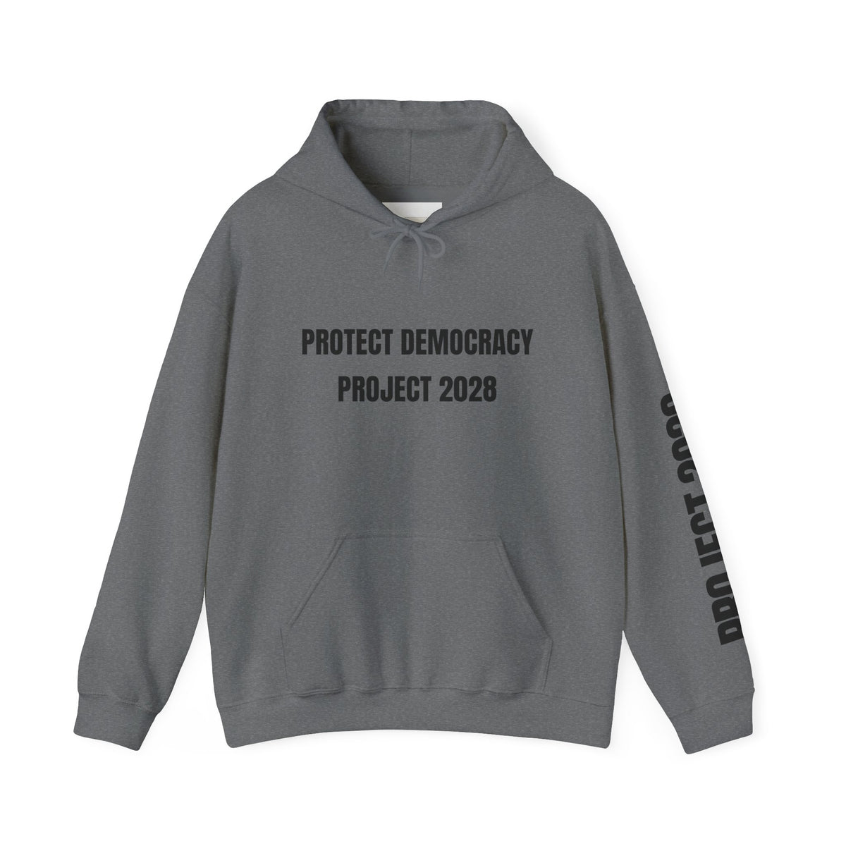 Protect Democracy Project 2028 Hoodie | Social Awareness