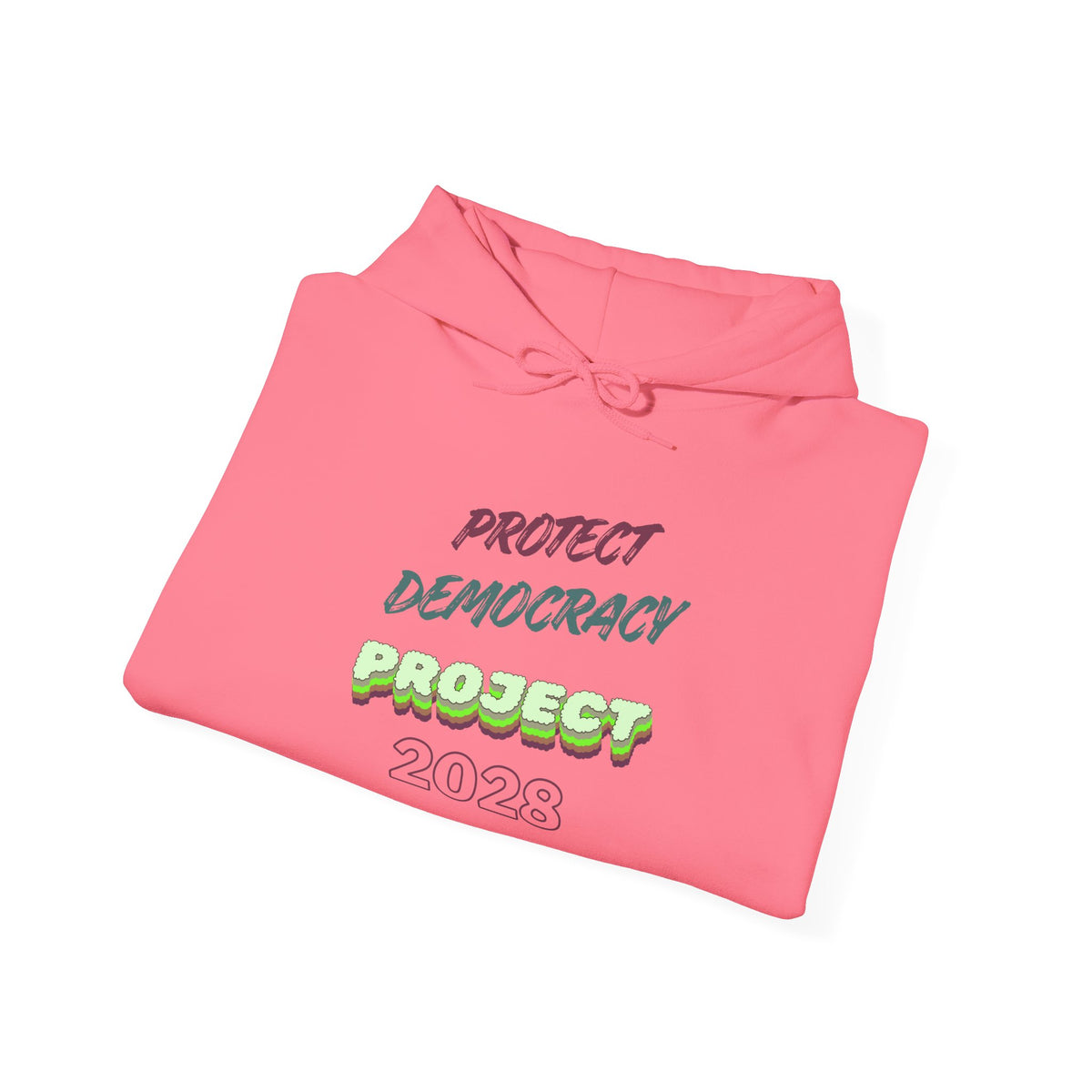 Protect Democracy Project 2023 Hoodie | Democracy Isn't Automatic