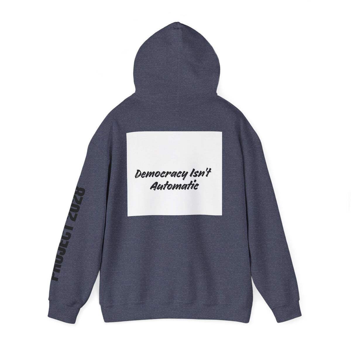 Protect Democracy Project 2028 Hoodie | Social Awareness