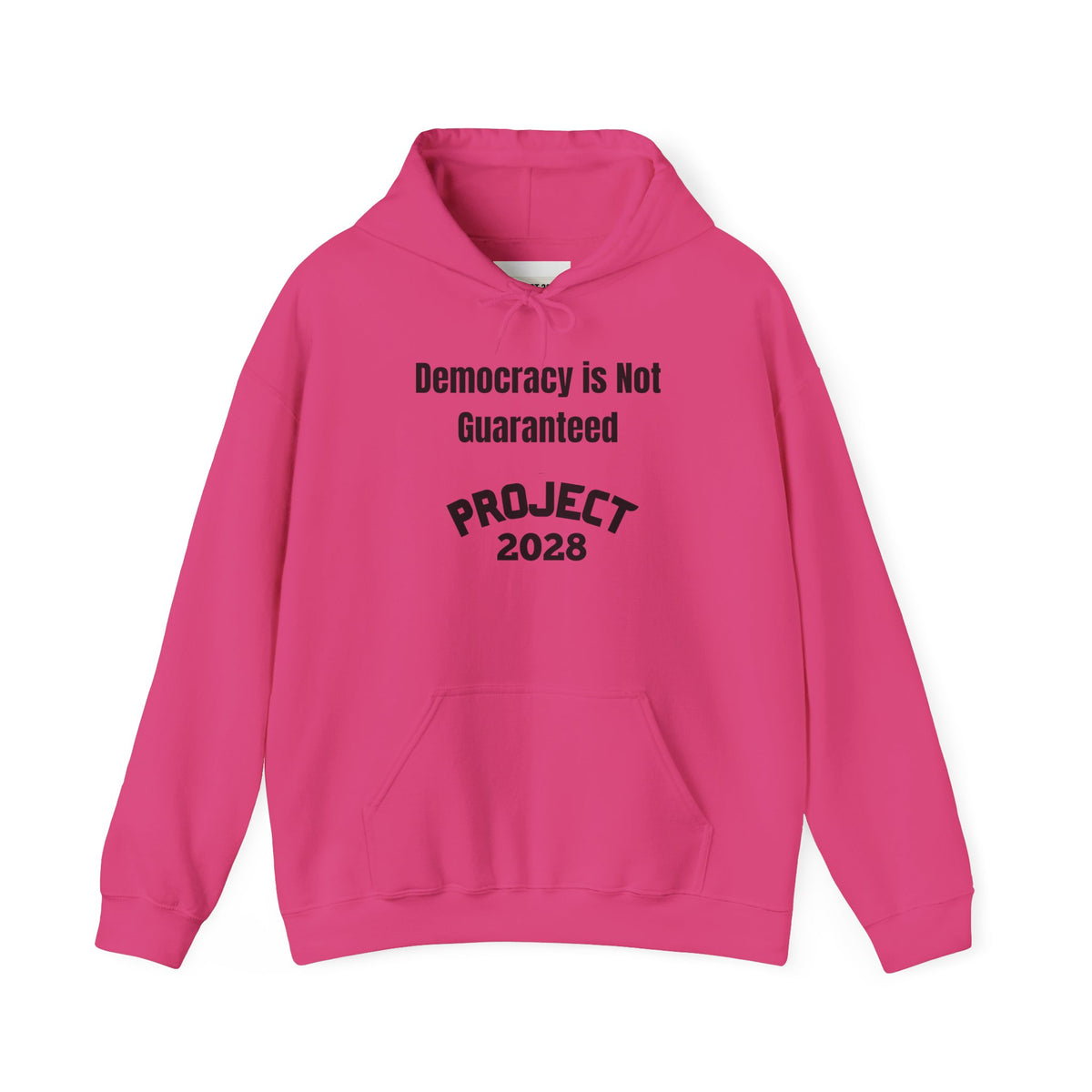 Project 2028 hoodie | Democracy | Social Awareness
