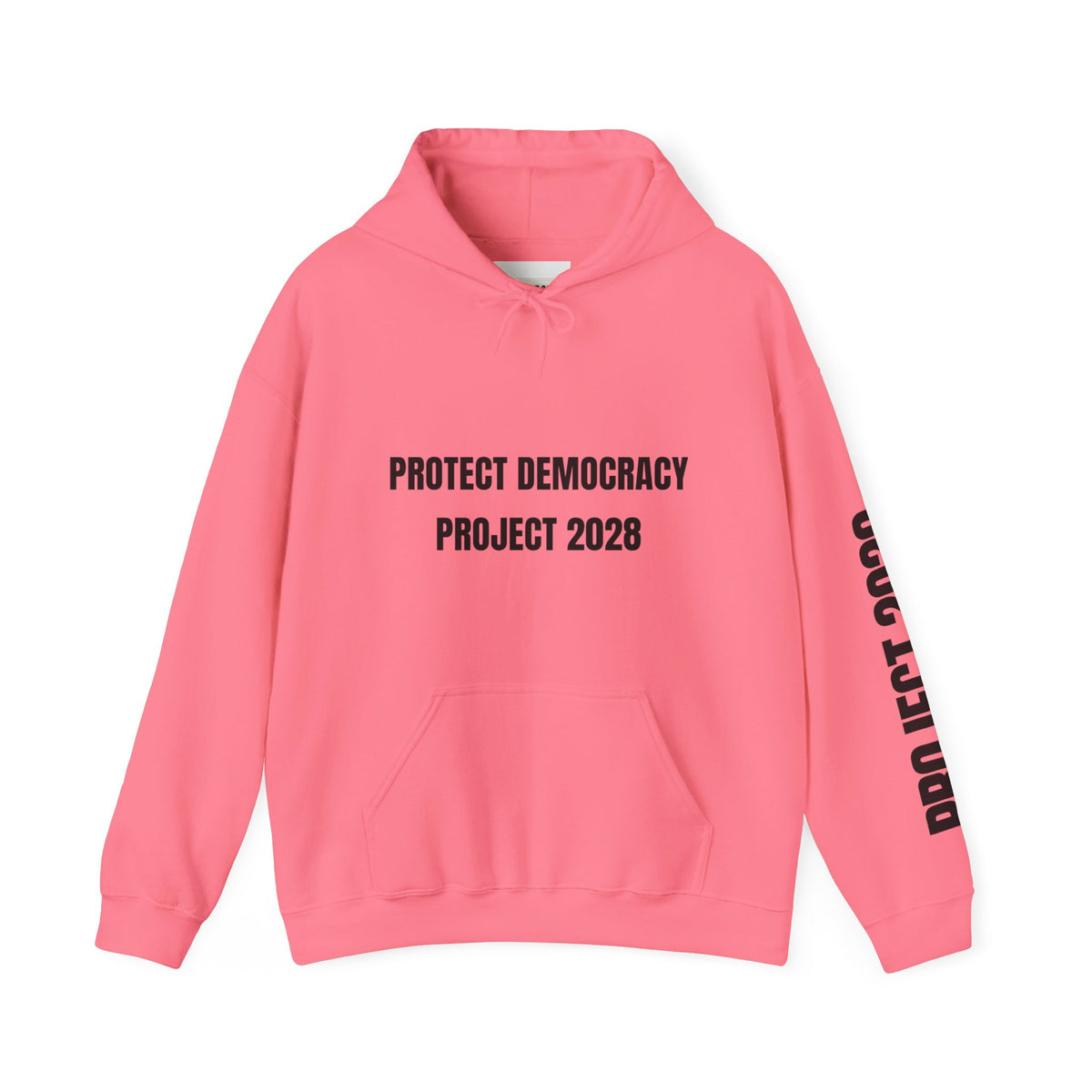 Protect Democracy Project 2028 Hoodie | Social Awareness