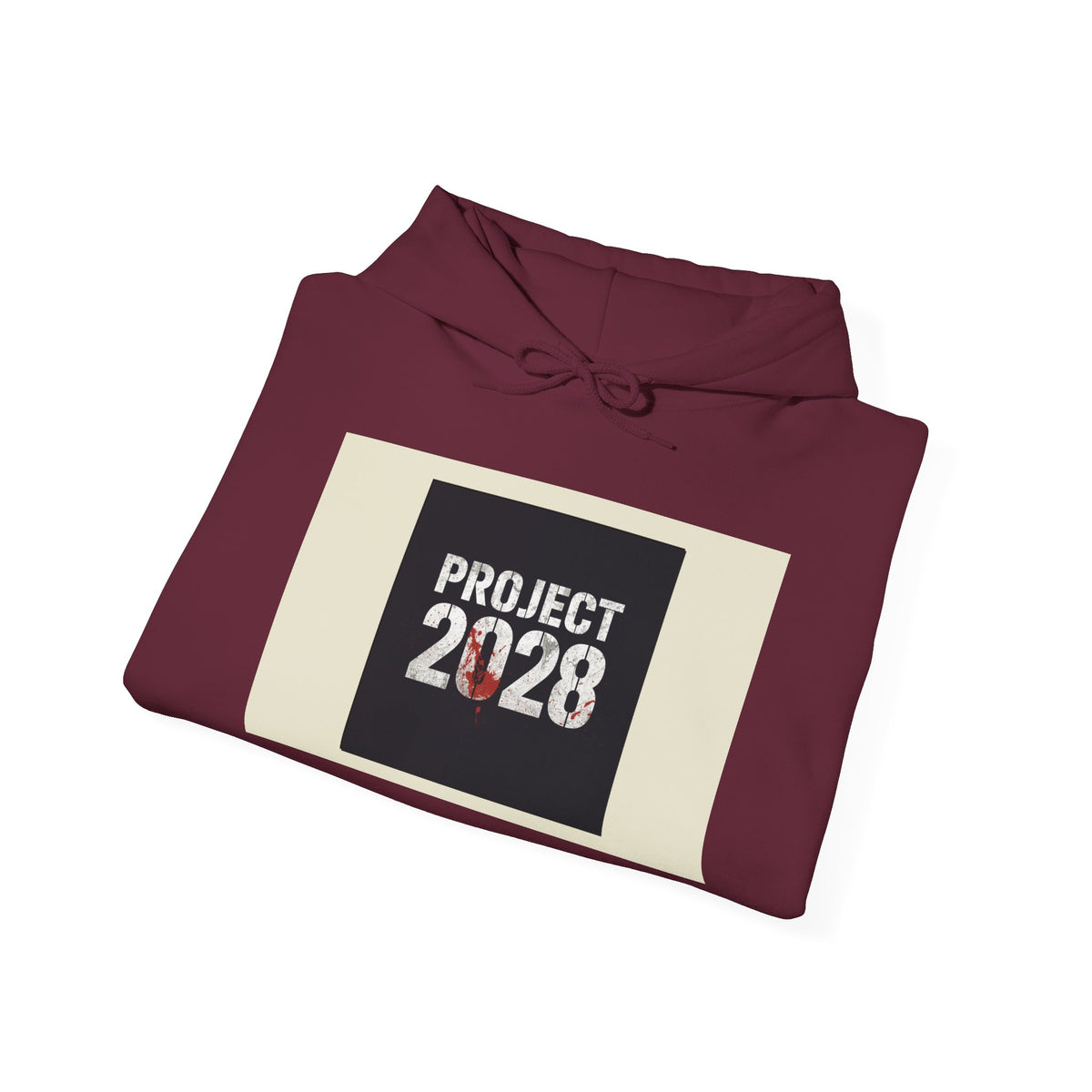 Product 2028 graphic hoodie | Democracy | Social Justice