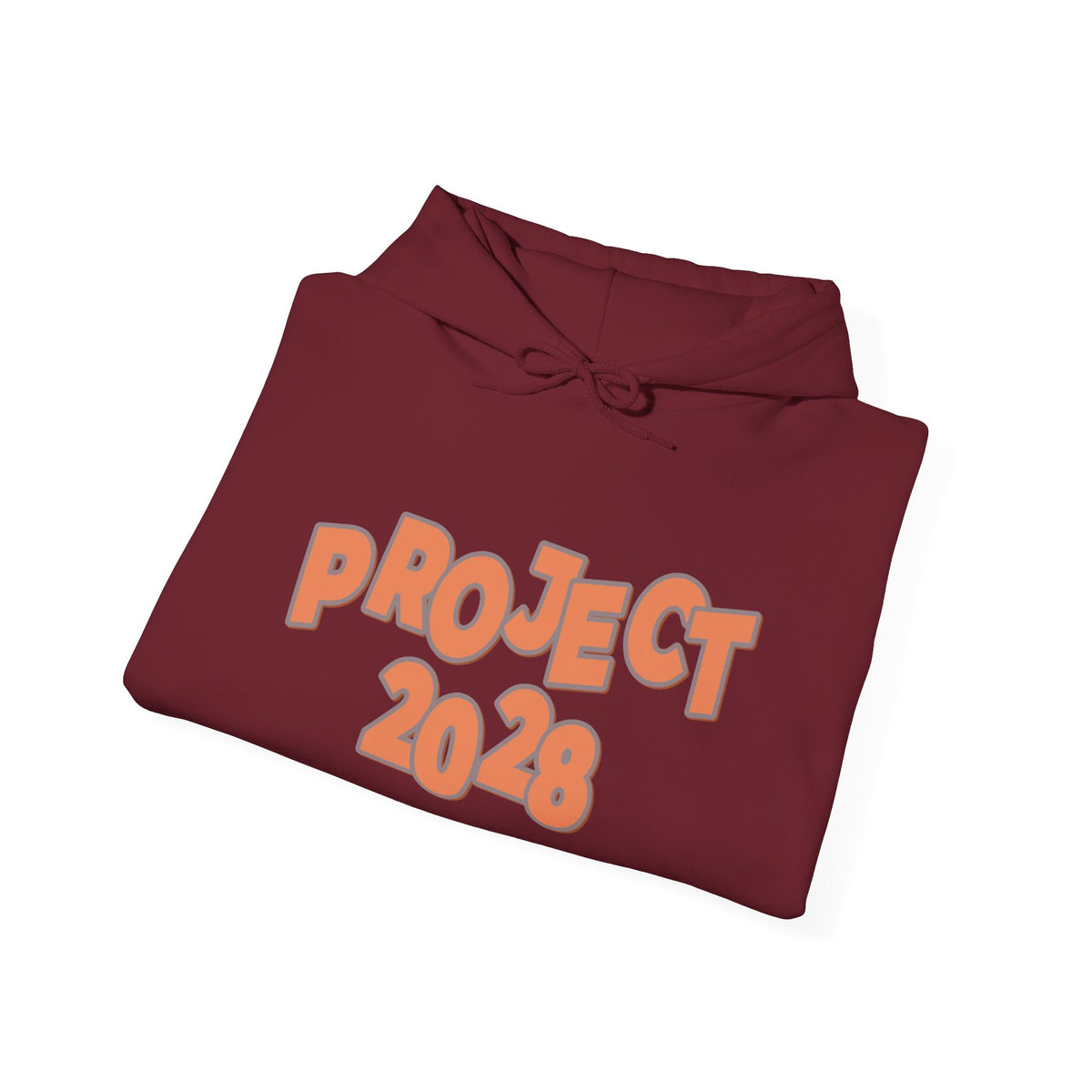 Project 2028 Hoodie | Democracy | Social Justice Message
