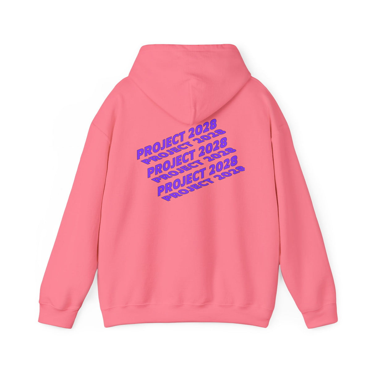 Project 2028 hoodie | Fight Back II text graphic, retro purple pink print