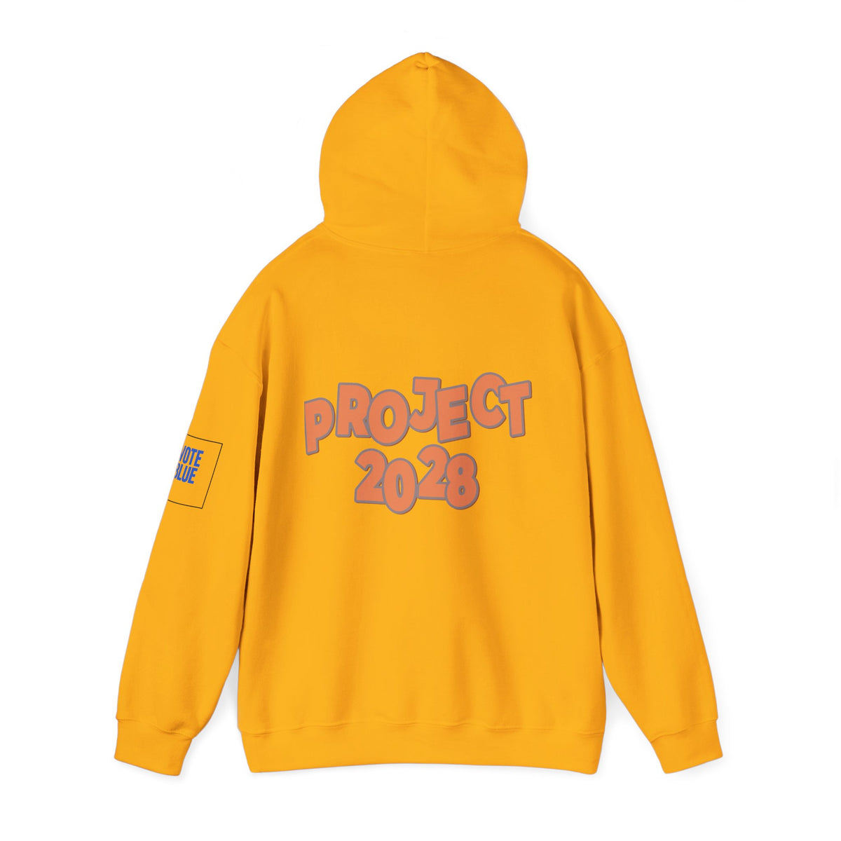 Protect Democracy Project 2028 Hoodie | Social Awareness