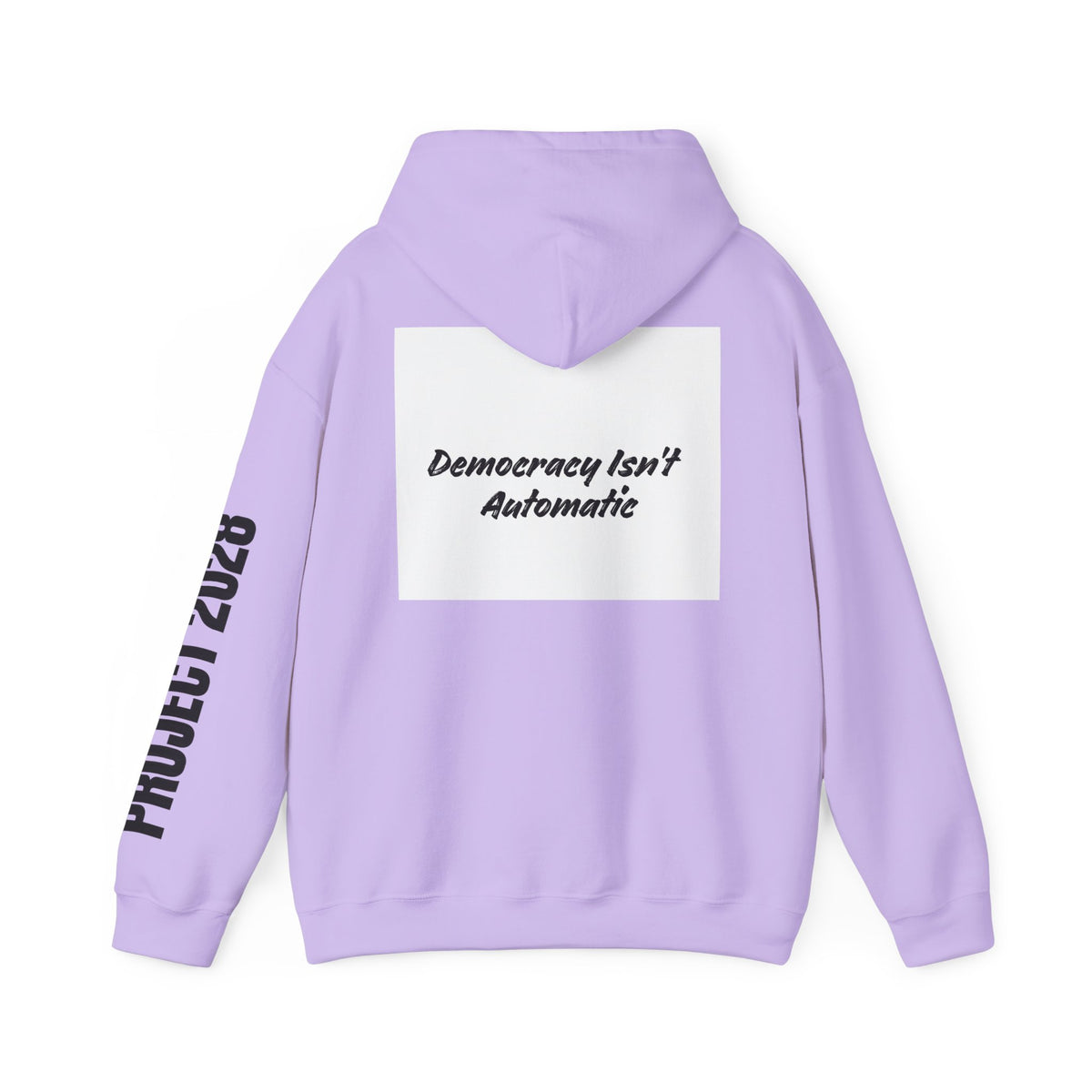 Protect Democracy Project 2028 Hoodie | Social Awareness