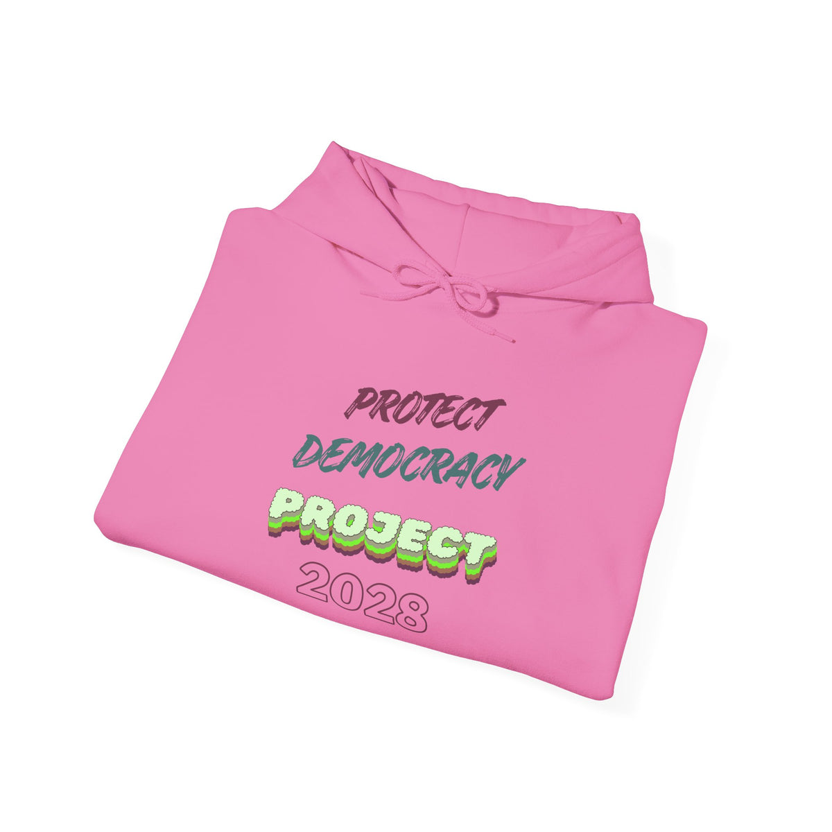 Protect Democracy Project 2023 Hoodie | Democracy Isn't Automatic