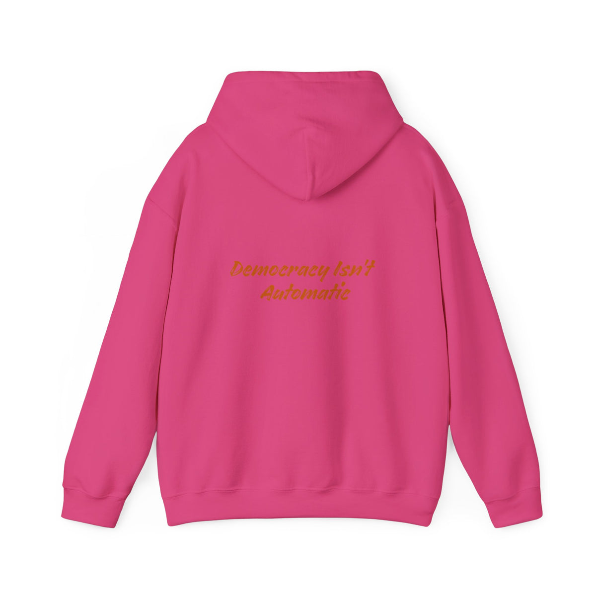 Project 2028 Hoodie | Democracy | Social Awareness