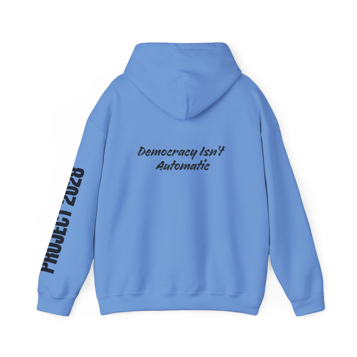 Protect Democracy Project 2028 Hoodie | Social Awareness