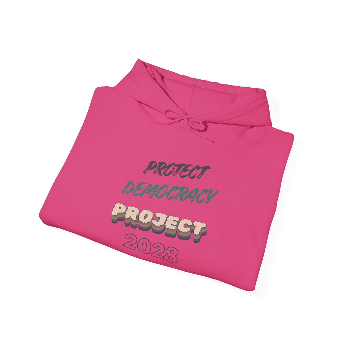 Project 2028 Hoodie | Protect Democracy graphic hoodie