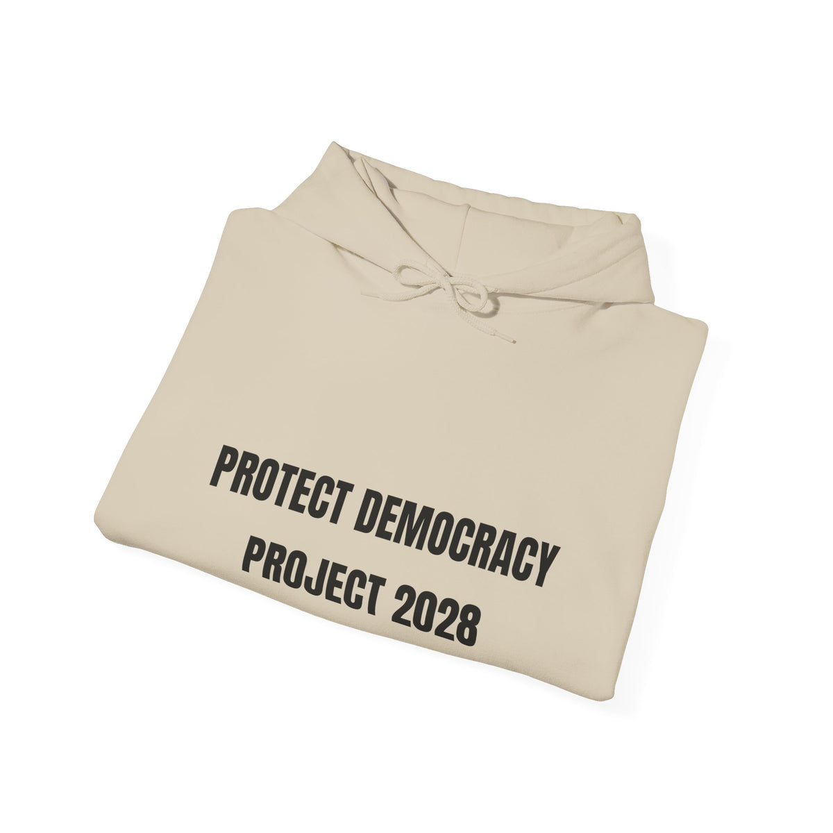 Protect Democracy Project 2028 Hoodie | democracy text design