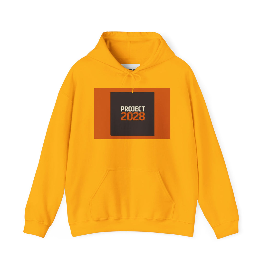 Project 2028 Graphic Hoodie | Democracy