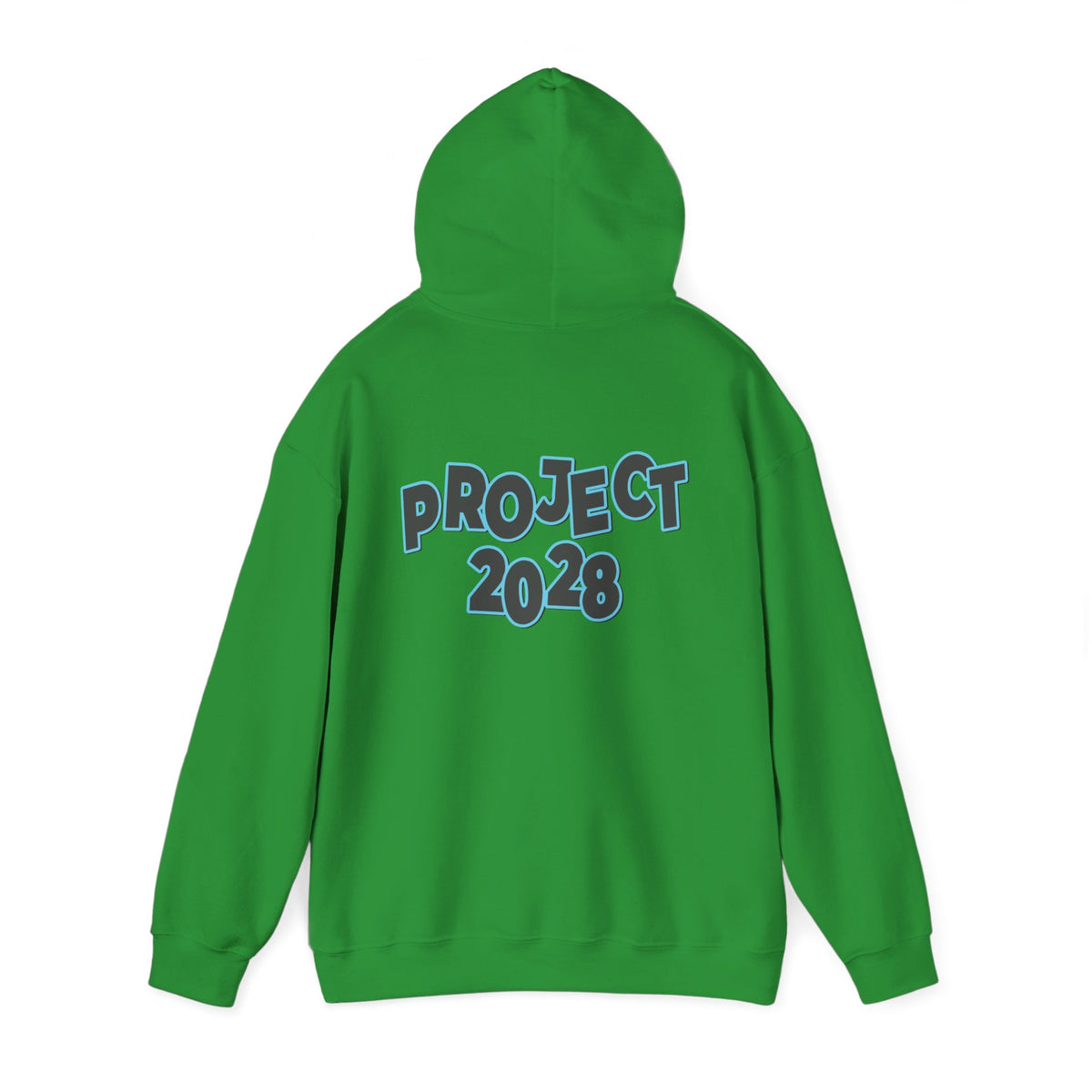 Project 2028 Hoodie | Protect Democracy, Project 2028 design