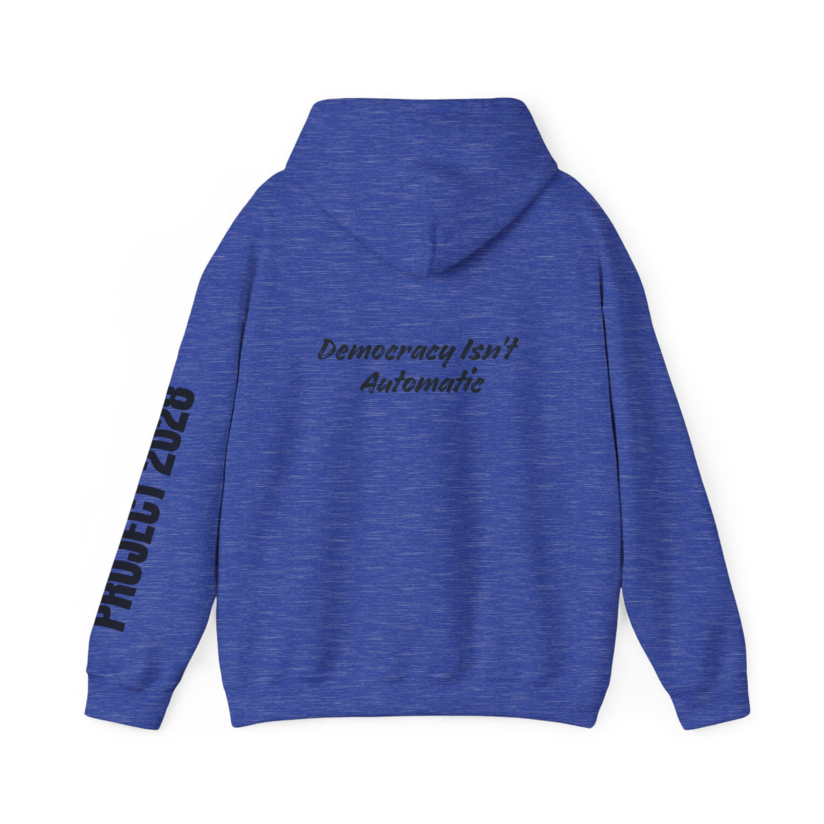 Protect Democracy Project 2028 Hoodie | Social Awareness