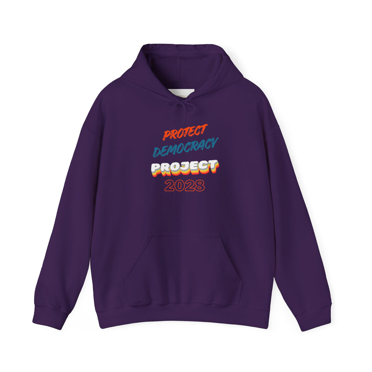 Protect Democracy Project 2028 Hoodie | Social Awareness