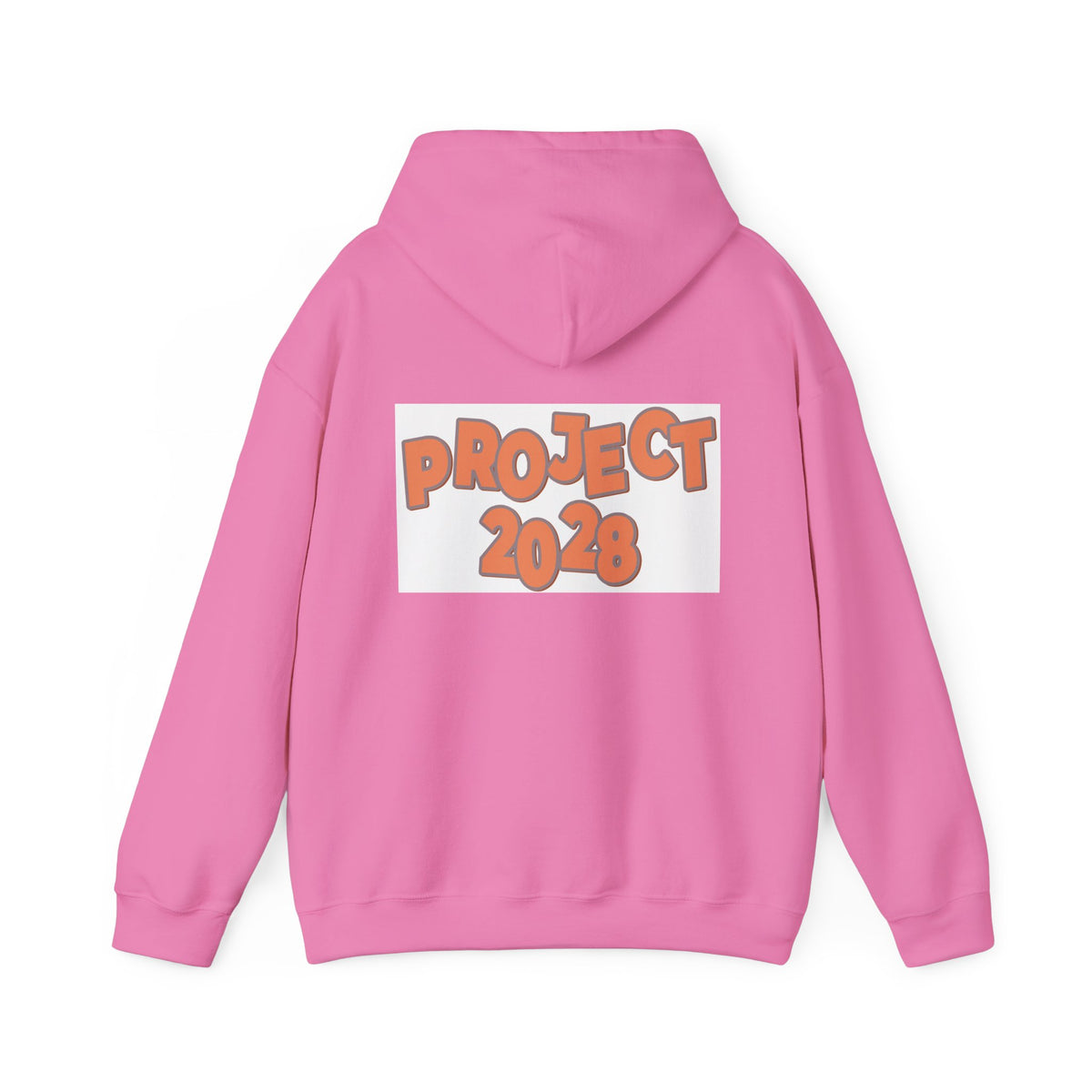 Project 2028 Hoodie | Retro Bubble Letter Design