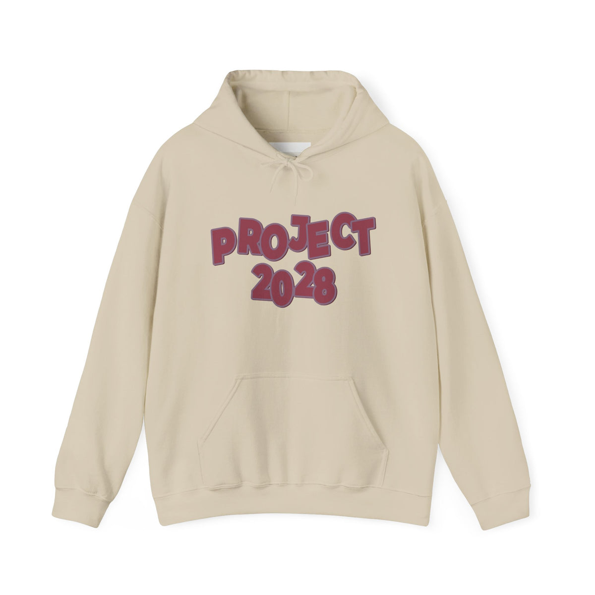 Project 2028 Hoodie | 'Democracy I Civic Engagement
