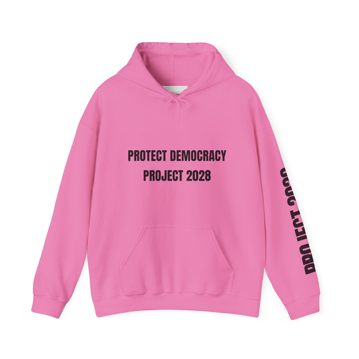 Protect Democracy Project 2028 Hoodie | Social Awareness