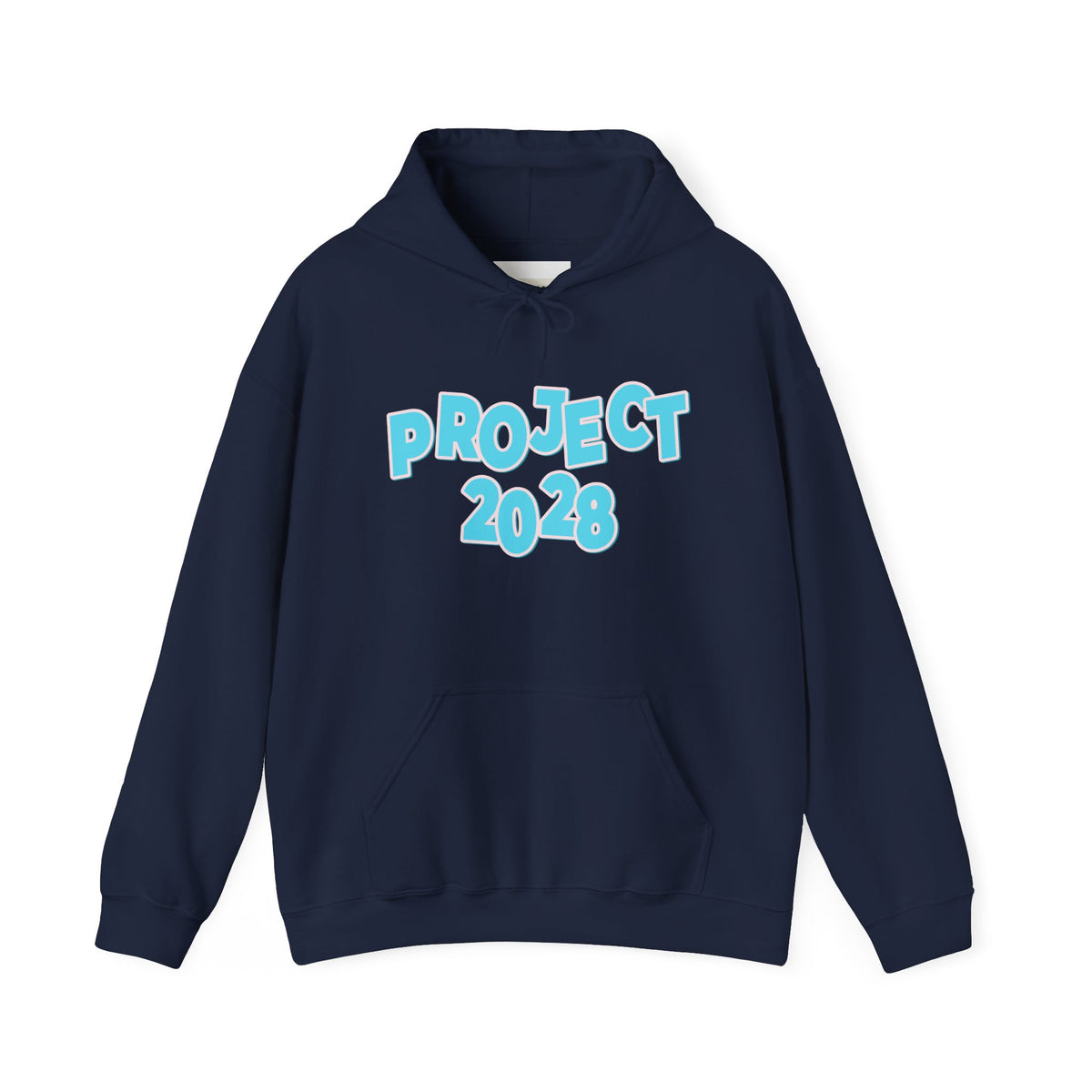 Project 2028 Hoodie | Democracy | Social Awareness