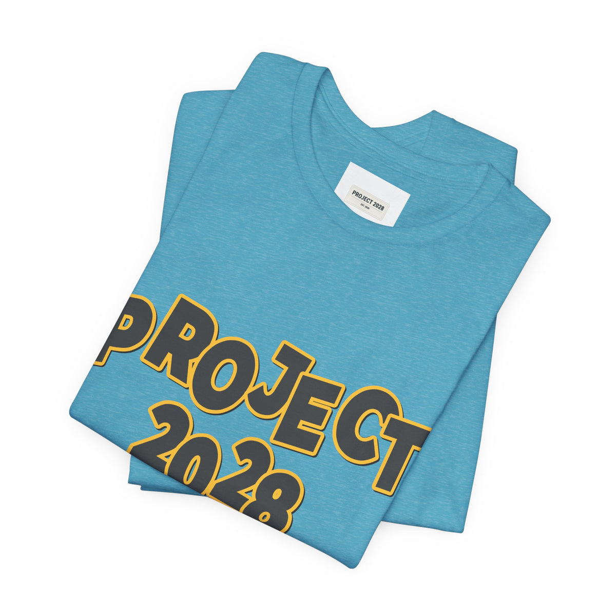Project 2028 Graphic Tee — "Spirit Airlines Is Gone. Democracy Could Be Next. Vote Blue." Political Statement T-Shirt - Make a Statement Without Saying a Word!