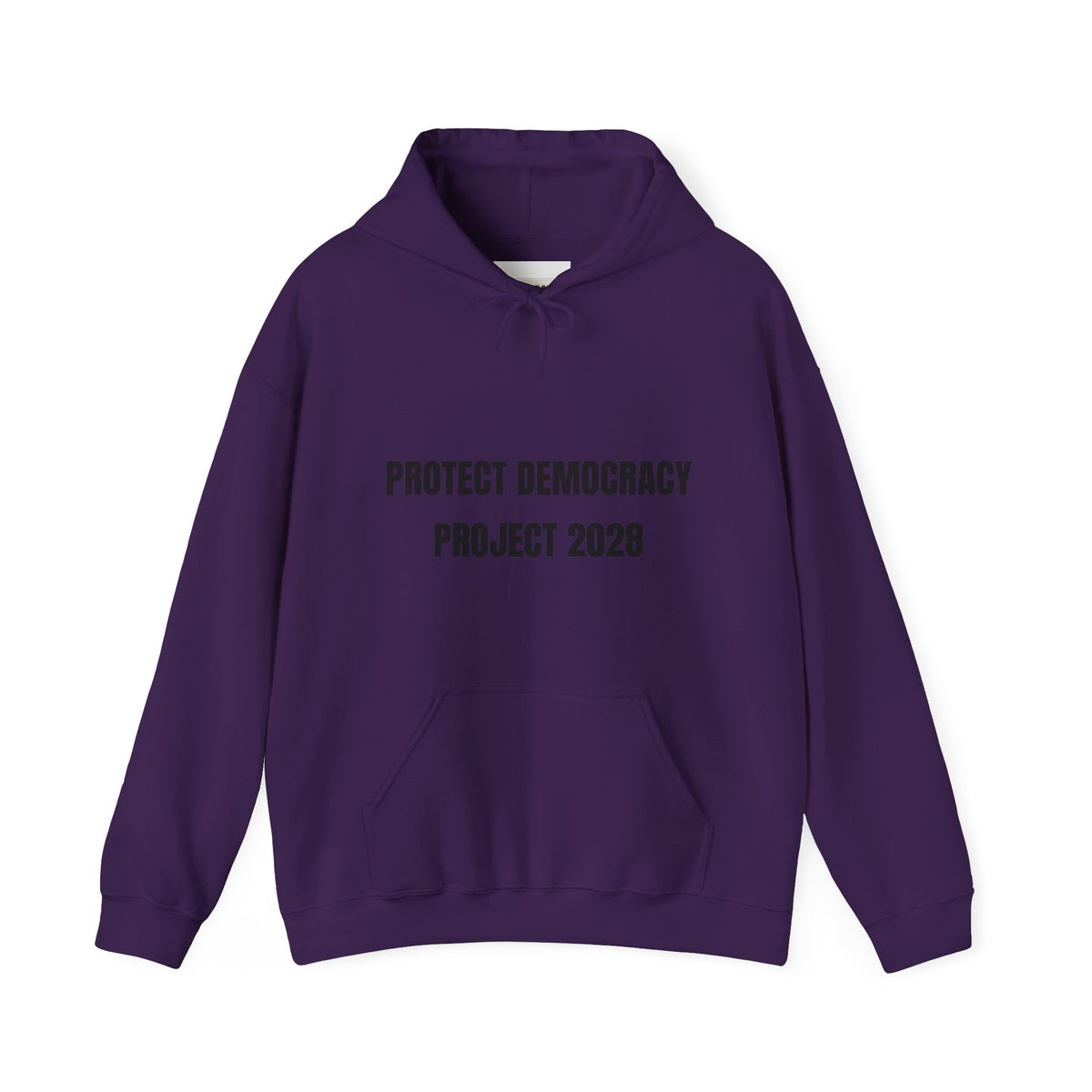 Protect Democracy Project 2028 Hoodie | democracy text design