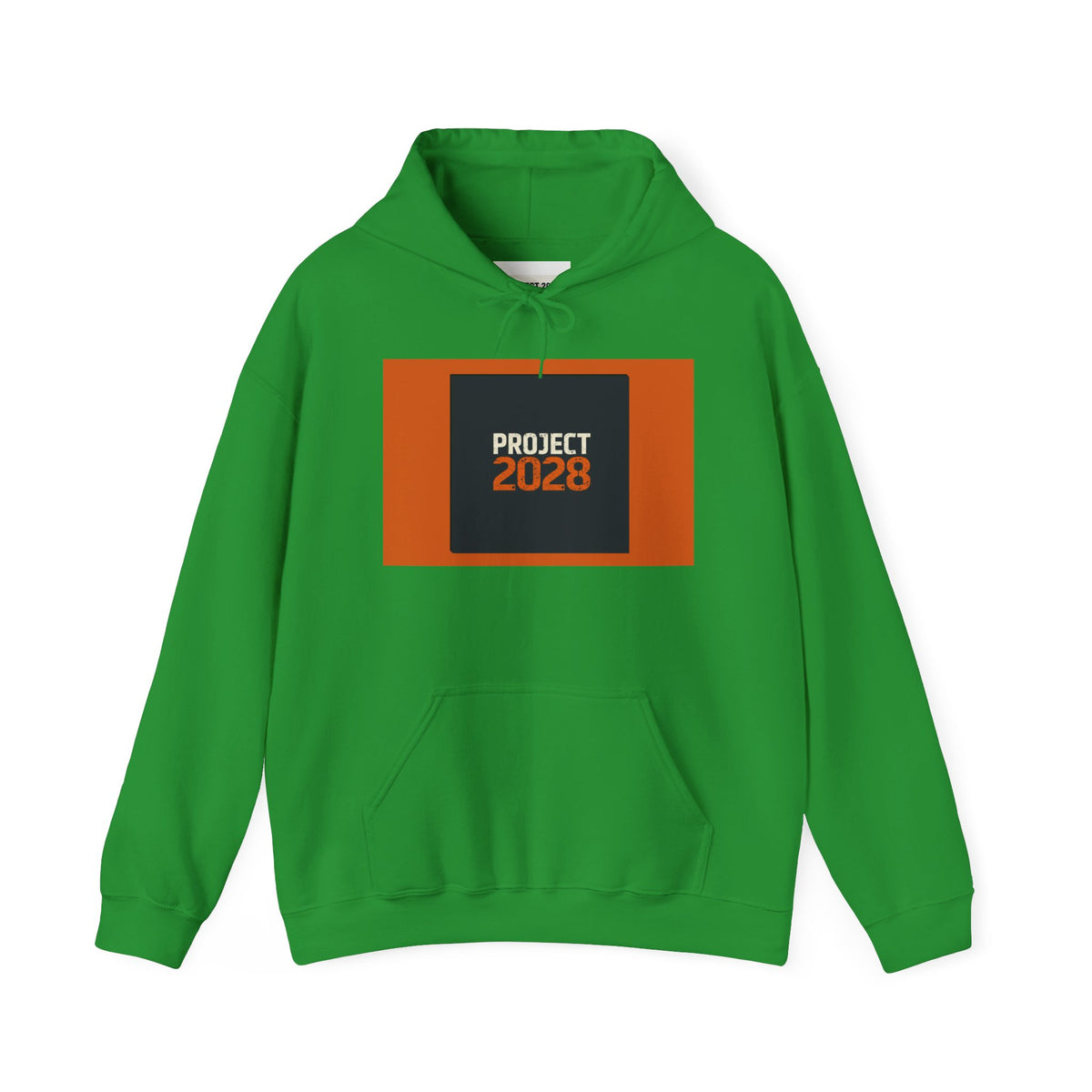 Project 2028 Graphic Hoodie | Democracy