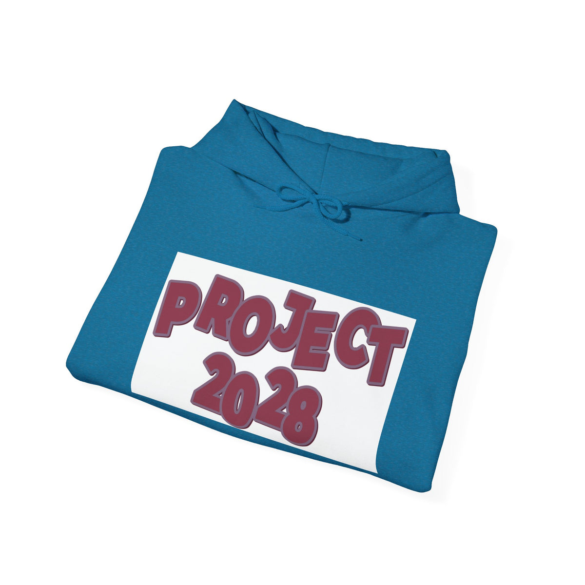 Project 2028 hoodie | Democracy Isn't Automatic back print