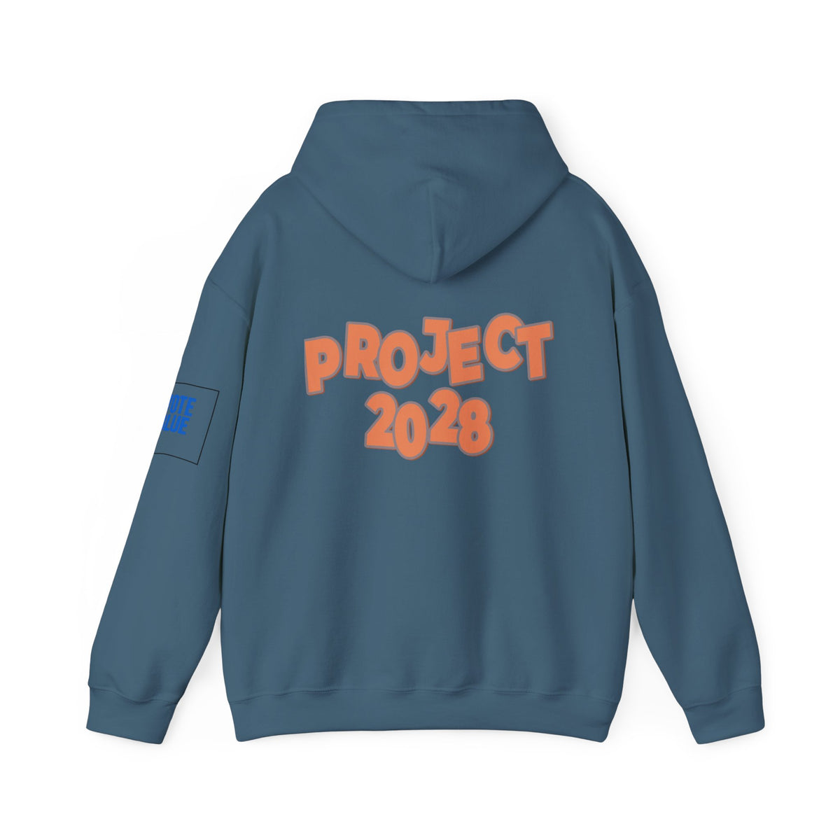 Protect Democracy Project 2028 Hoodie | Social Awareness