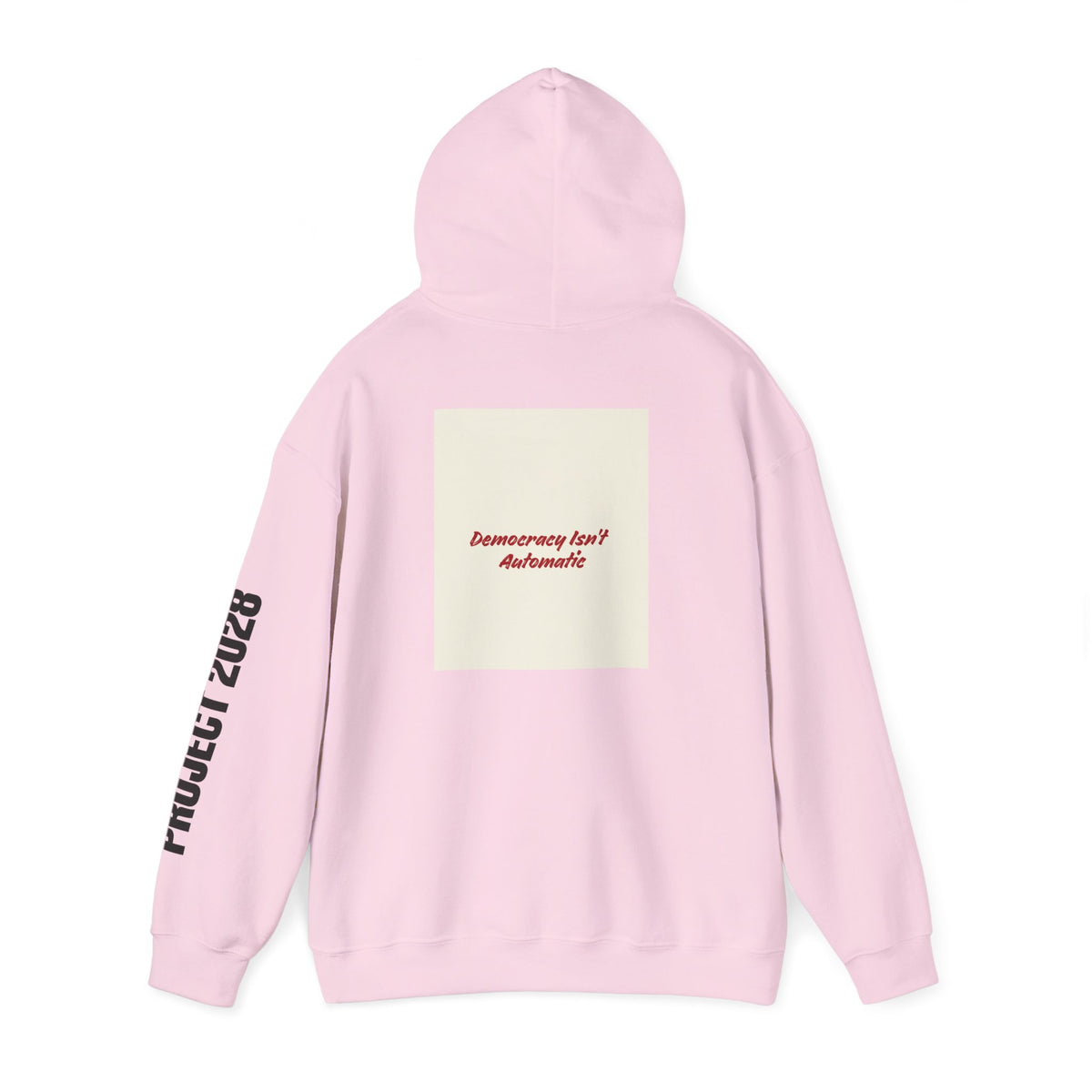 Product 2028 graphic hoodie | Democracy | Social Justice