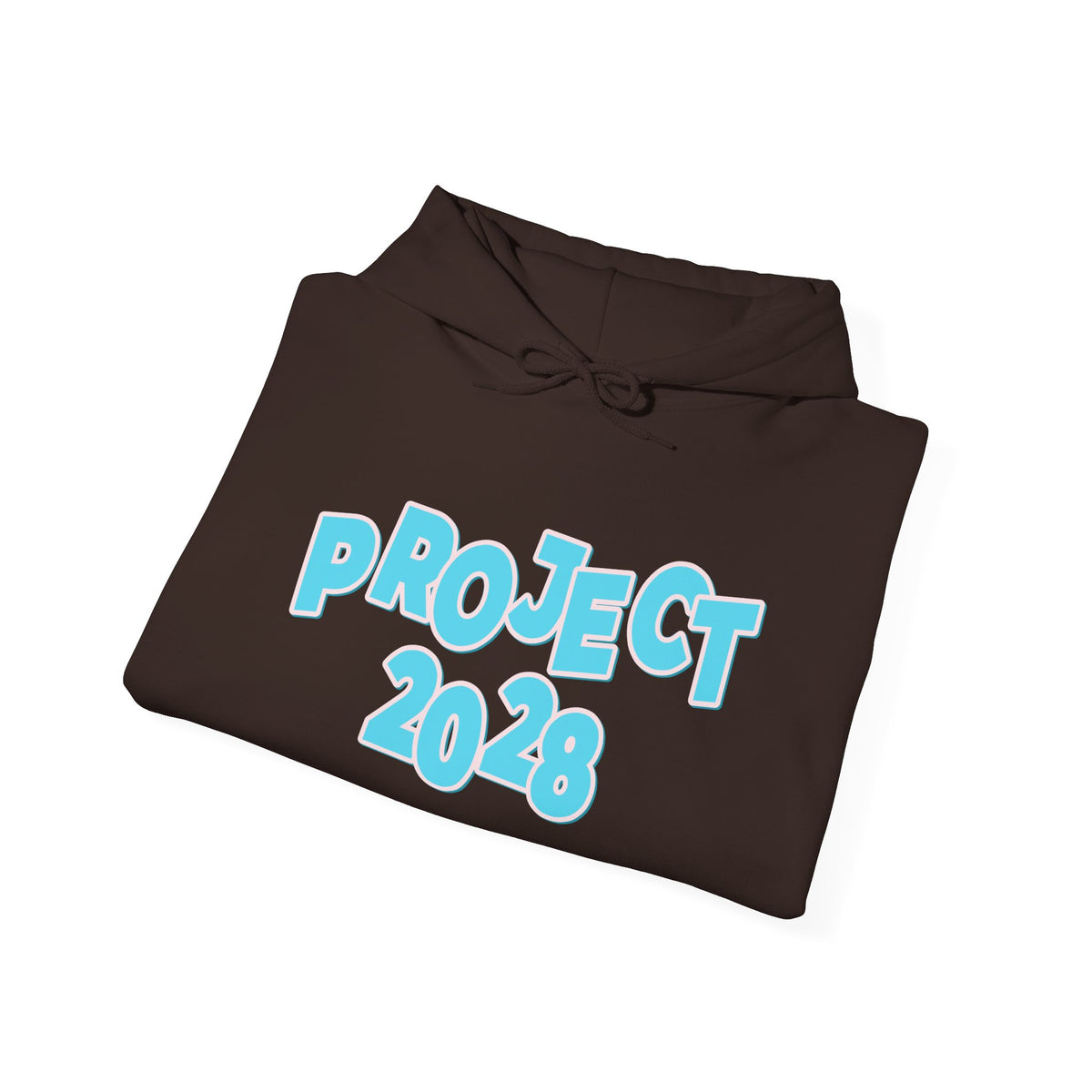 Project 2028 Hoodie | Democracy | Social Awareness