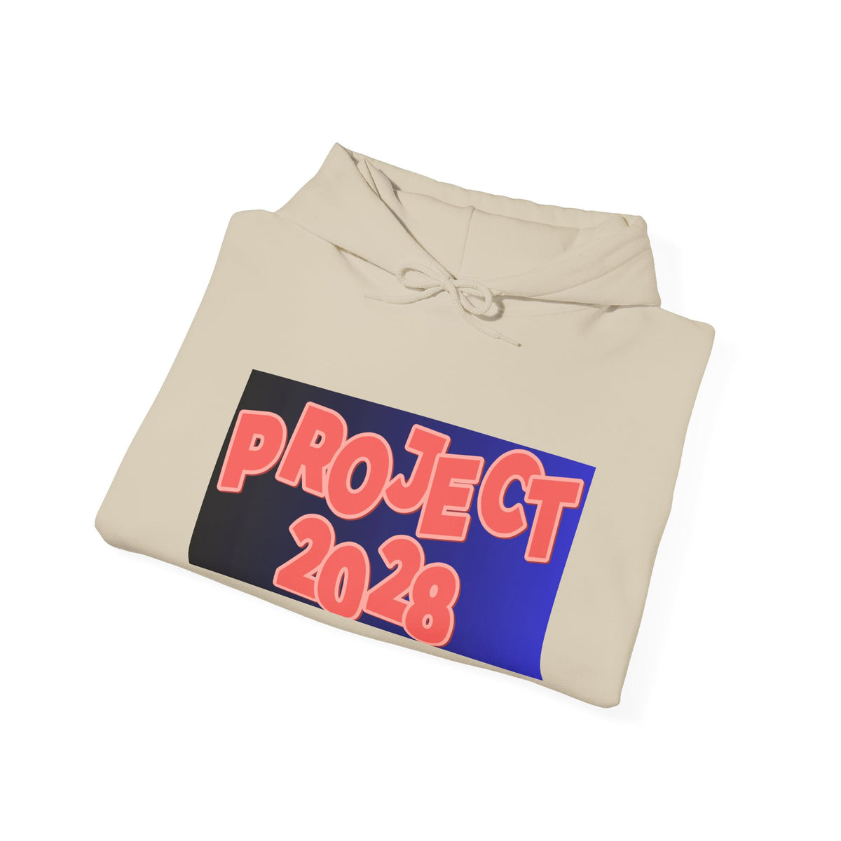 Project 2028 Hoodie | Social Justice