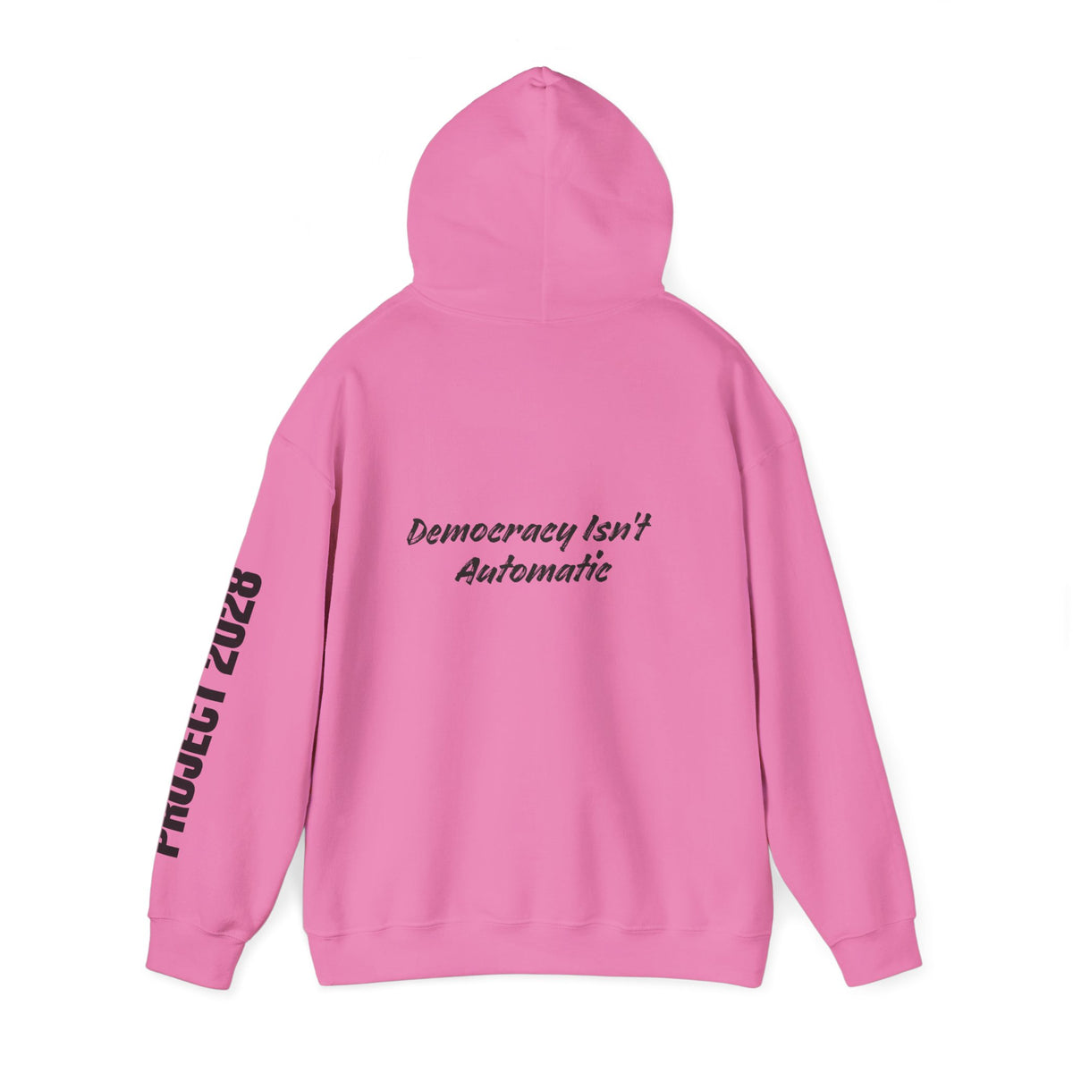 Protect Democracy Project 2028 Hoodie | Social Awareness
