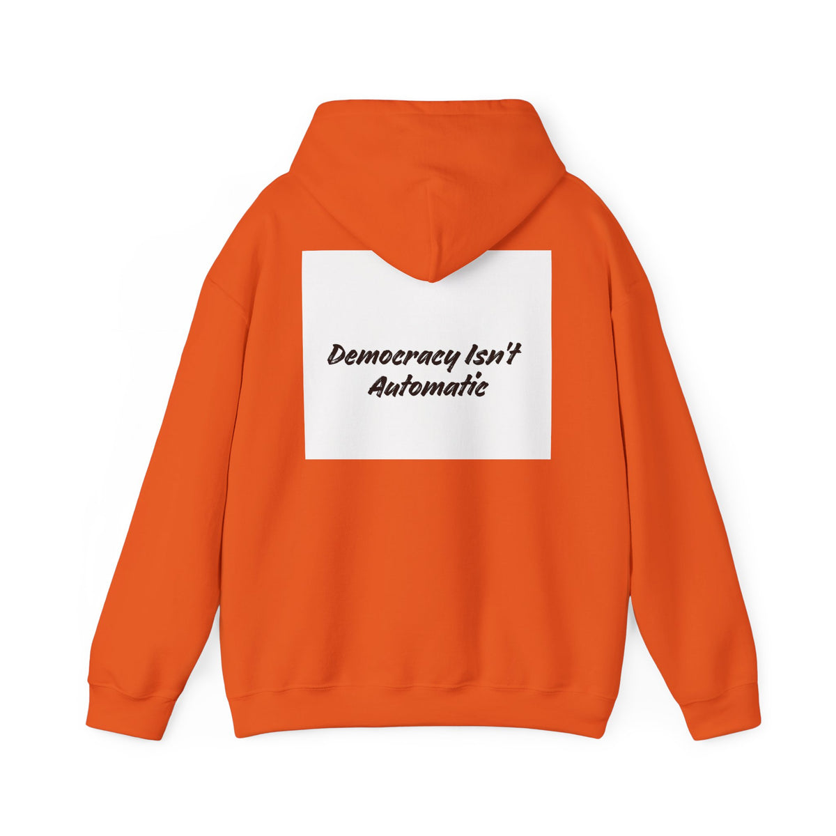 Protect Democracy Project 2028 Hoodie | Social Awareness