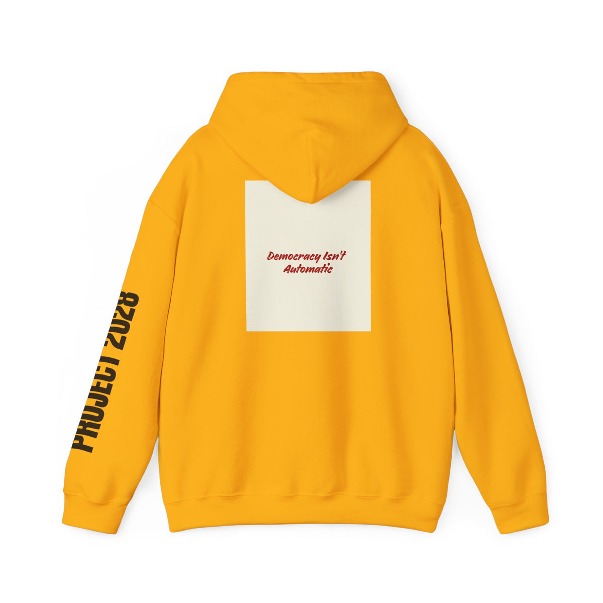 Project 2108 Graphic Hoodie | Democracy Isn't Automatic Back Print
