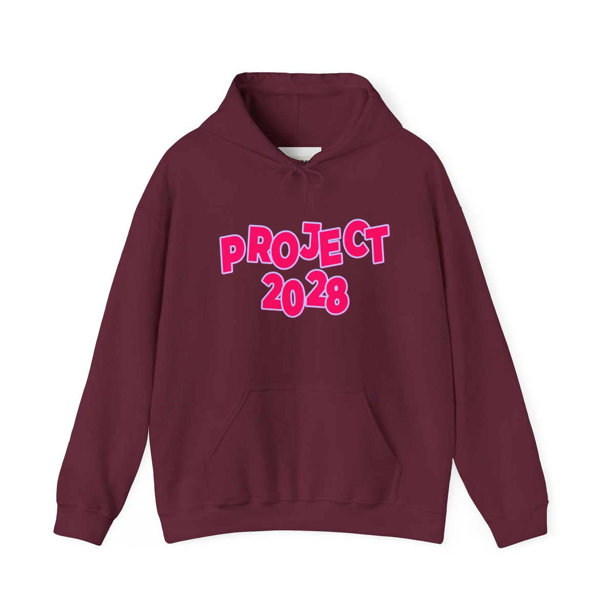 Project 2028 Hoodie | Social Awareness