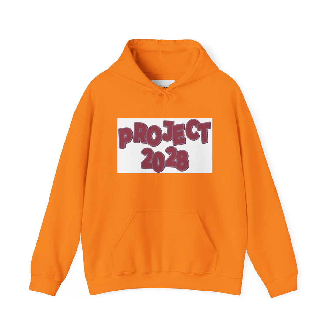 Project 2028 hoodie | Democracy Isn't Automatic back print