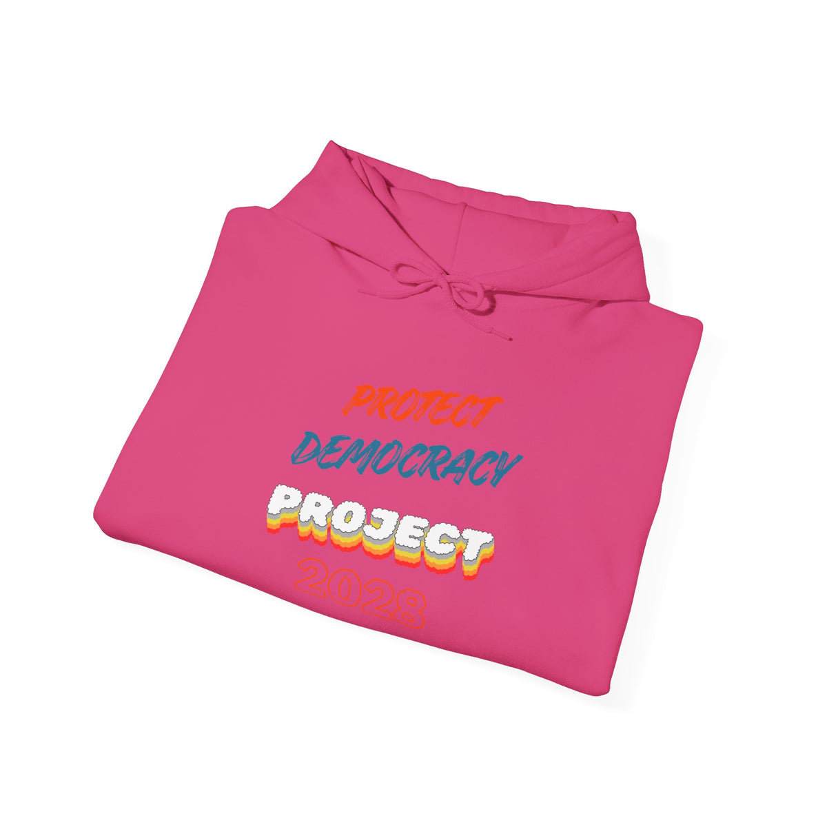 Protect Democracy Project 2028 Hoodie | Social Awareness