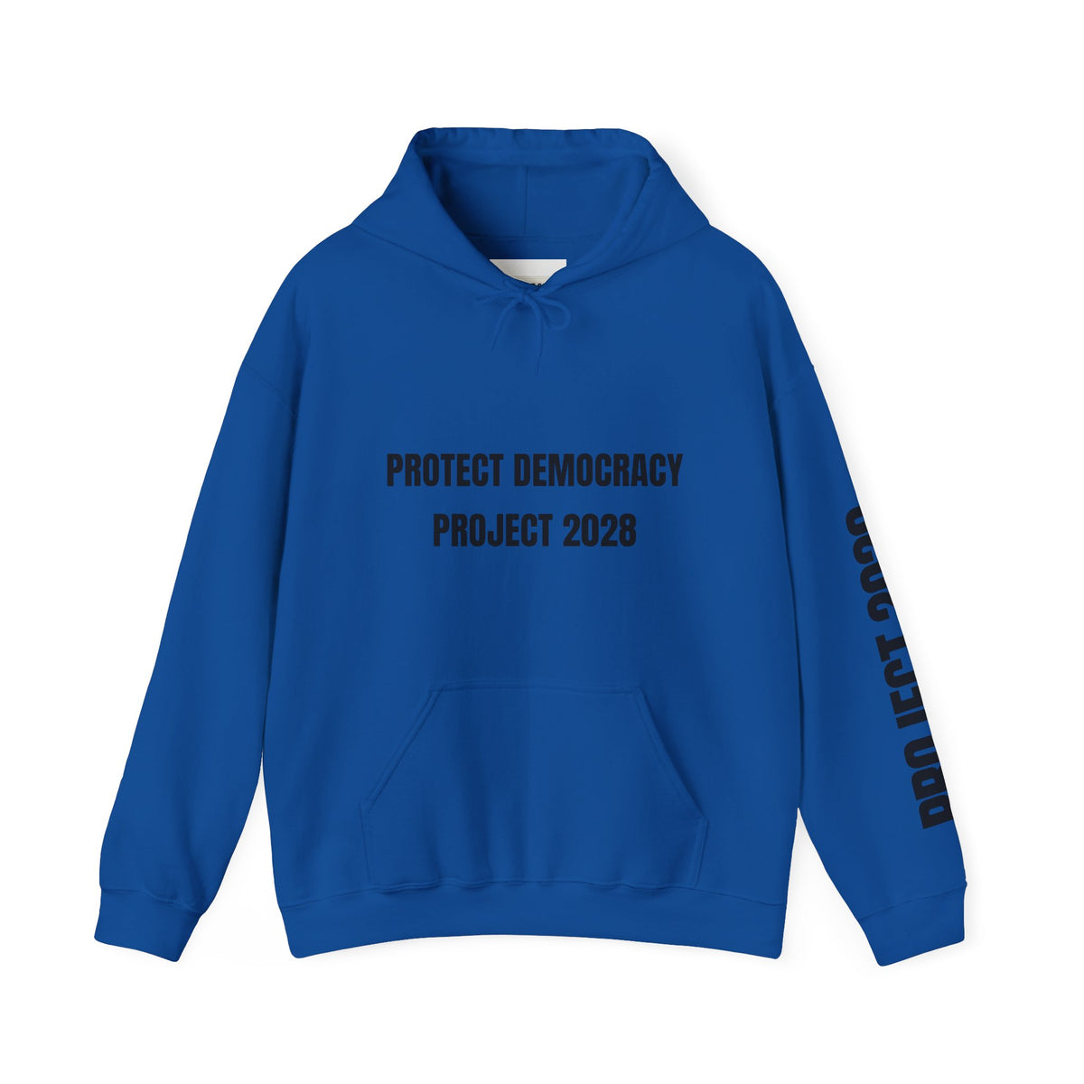 Protect Democracy Project 2028 Hoodie | Social Awareness