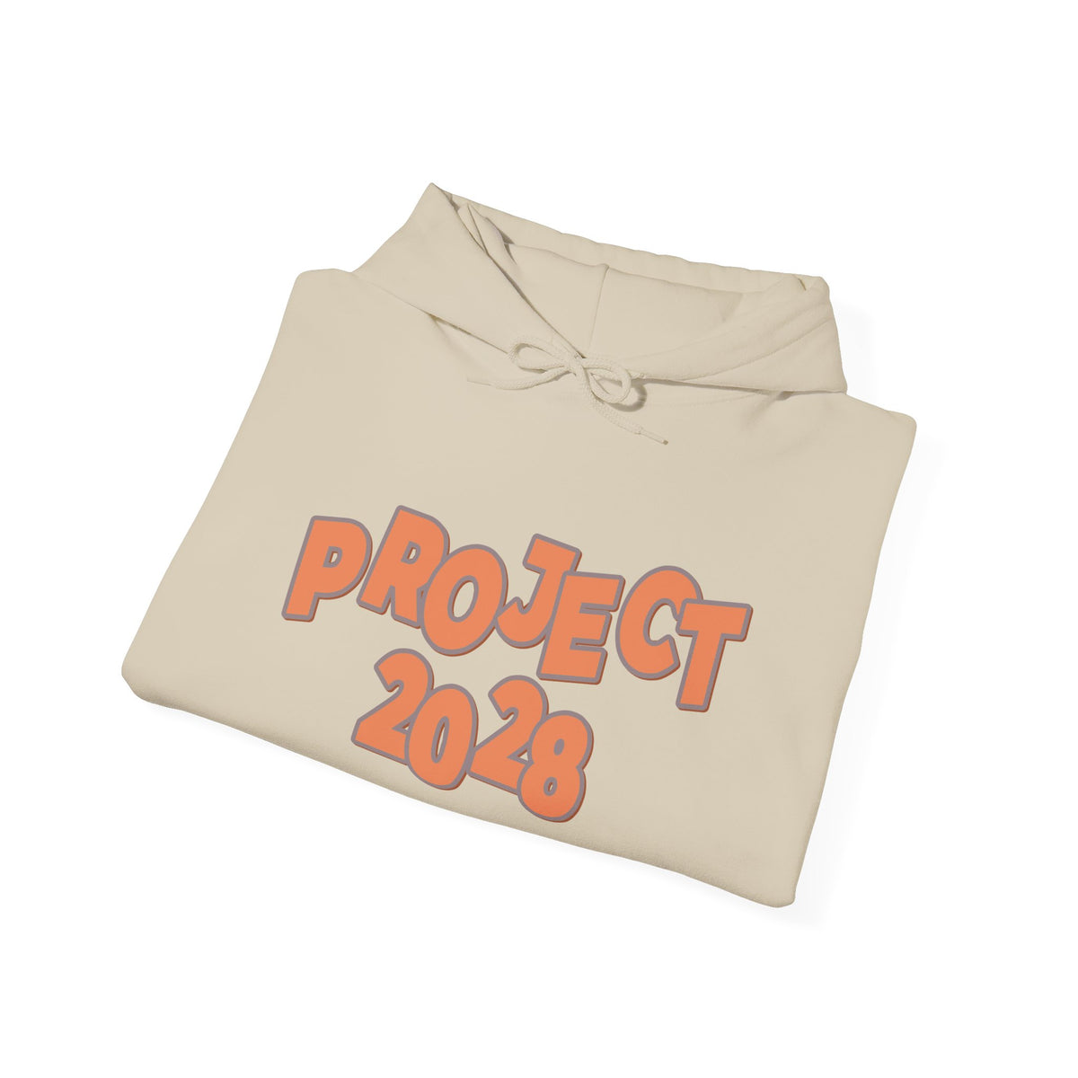 Project 2028 Hoodie | Democracy | Social Justice Message