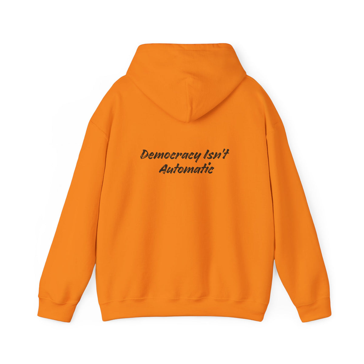 Protect Democracy Project 2028 Hoodie | Social Awareness
