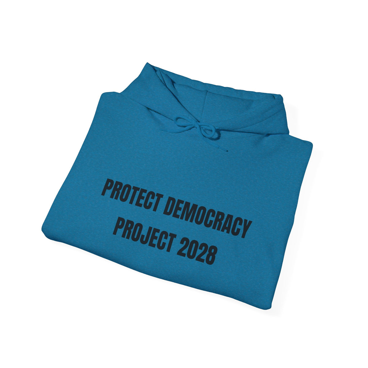 Protect Democracy Project 2028 Hoodie | Social Awareness