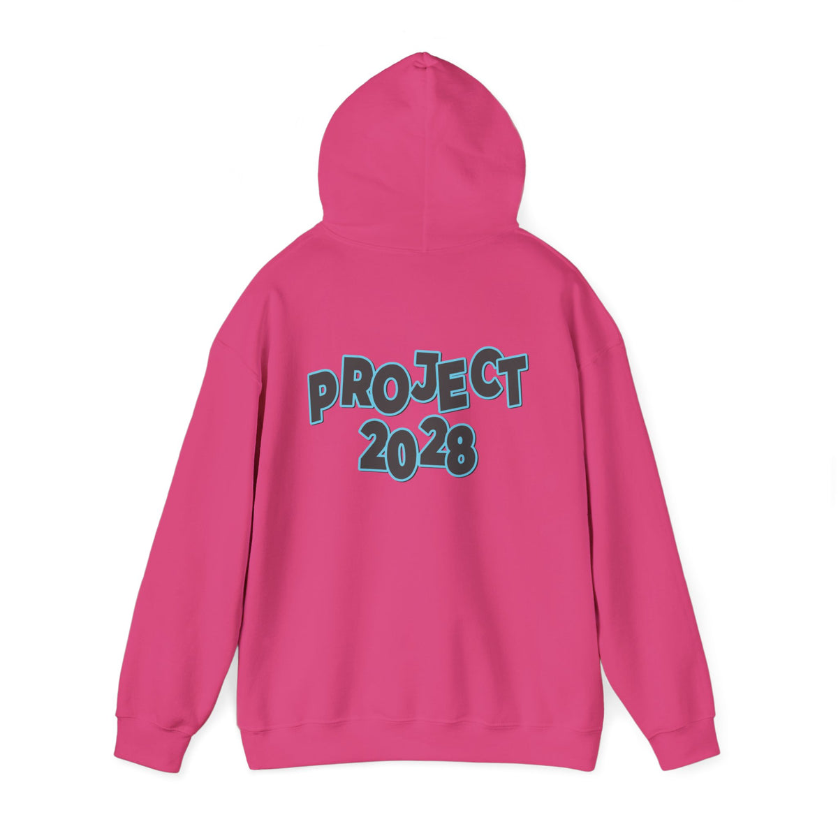 Project 2028 Hoodie | Protect Democracy, Project 2028 design